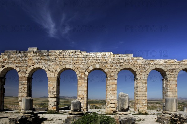 Arches of the Volubilis Basilica rise against the clear blue sky and depict ancient craftsmanship, Volubilis, Morocco, Morocco