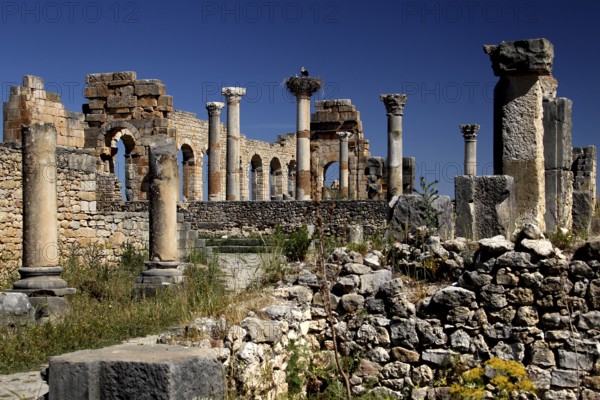 Detailed view of the basilica of Volubilis with well-preserved columns against a bright blue sky, Volubilis, Morocco, Morocco