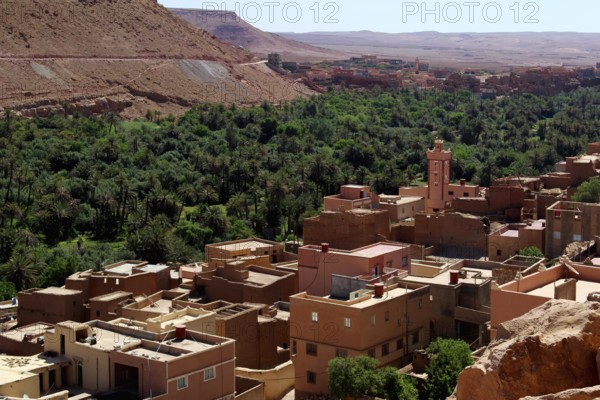 View of buildings amidst a green oasis in the Todra Gorge, Todra, Morocco