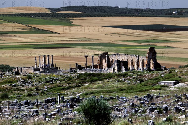 Basilica and Capitol of Volubilis surrounded by ruins and vast fields. The ancient structures rise majestically, Volubilis, Morocco, Morocco
