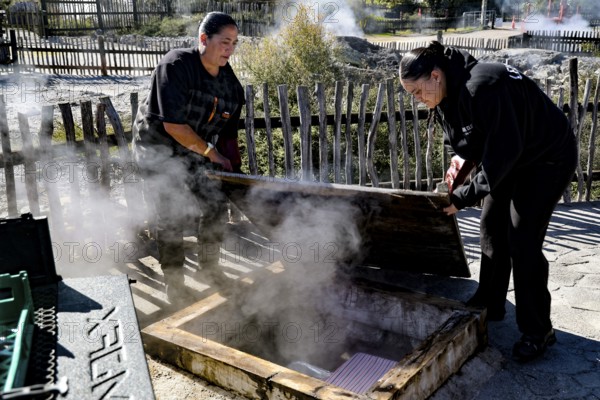 Maori traditionally prepare hangi in a steaming earth pit, Rotorua, New Zealand