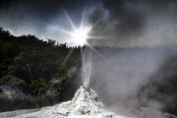 The Lady Knox geyser at sunrise in the Wai-O-Tapu geothermal area
