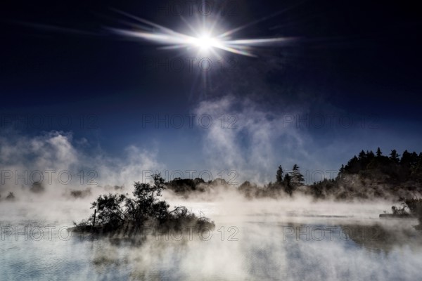 Sun-drenched geothermal area with steam clouds in Whakarewarewa, Rotorua, New Zealand