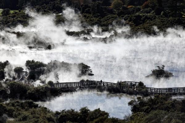 Steaming geothermal area with bridge in Whakarewarewa near Rotorua, Rotorua, New Zealand
