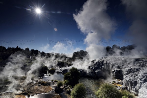Sintered terraces with rising steam under the sun in the geothermal area of Te Puia, Rotorua, North Island, New Zealand