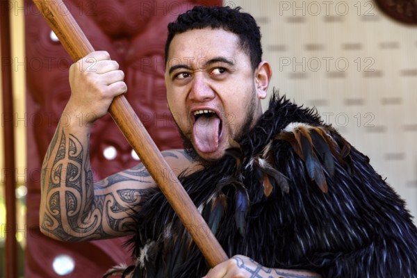 Maori warrior in traditional garb shows impressive expression of performance, Waitangi, New Zealand