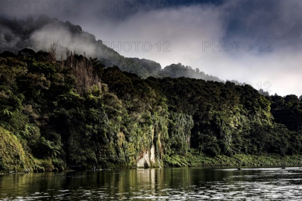 Mystical morning scene on Whanganui River with fog and wooded slopes in morning light, zero