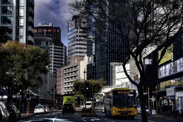 Lambton Quay in Wellington with modern skyscrapers, trees and vehicles under cloudy sky, Wellington, New Zealand