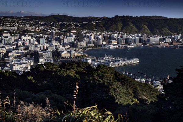 View from Mount Victoria Lookout over Wellington, the harbor and surrounding hills, Wellington, New Zealand