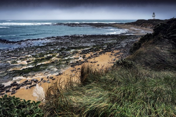 Coastal landscape at Waipapa Point with lighthouse and wave-swept beach, Waipapa Point, Southland, New Zealand