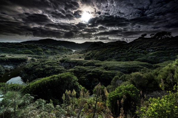 Dramatic night landscape with cloudy sky near Wharariki Beach, Wharariki Beach, New Zealand