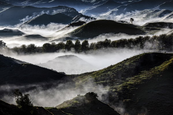 Morning fog over rolling hills in Tongariro National Park with mystical flair, Tongariro National Park, Waikato, New Zealand