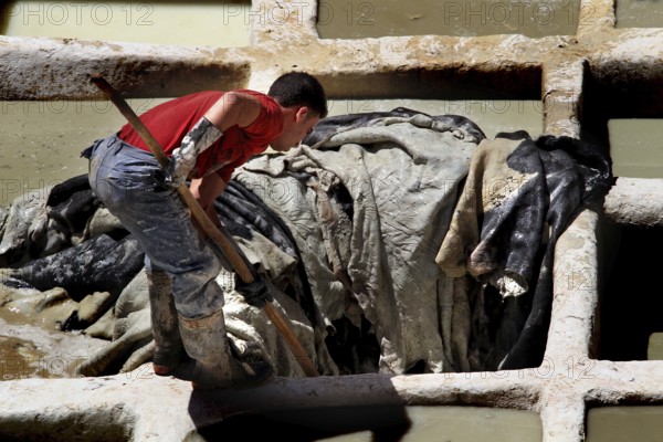 A worker in a traditional tannery works leather in a paint tank, Fez, el-Bali, Chouwara, Morocco