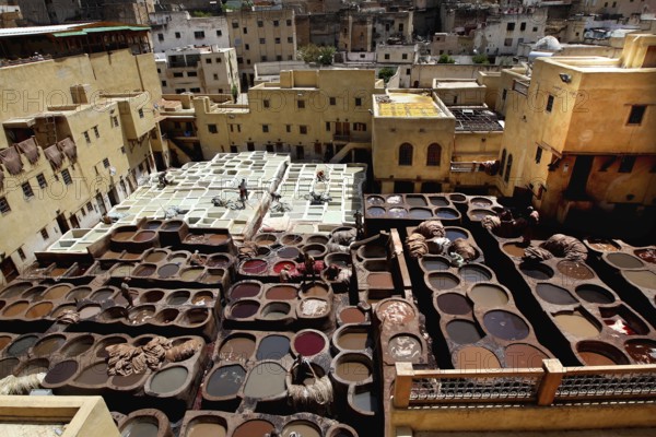 The hustle and bustle of a traditional leather tannery in Fez with countless paint basins, Fez, el-Bali, Chouwara, Morocco
