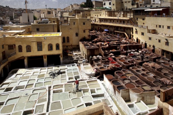 Traditional leather tannery in Fez with numerous paint basins and surrounding ancient architecture, Fez, el-Bali, Chouwara, Morocco