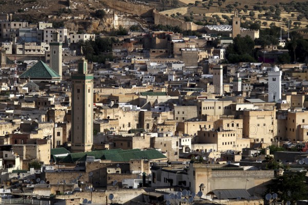 View from the south of the Kairouine mosque within Fez, Fez, Fez el Bali, Morocco