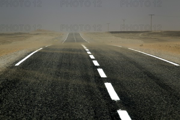 Extended asphalt road stretches through dry desert near Merzouga, Merzouga, Morocco