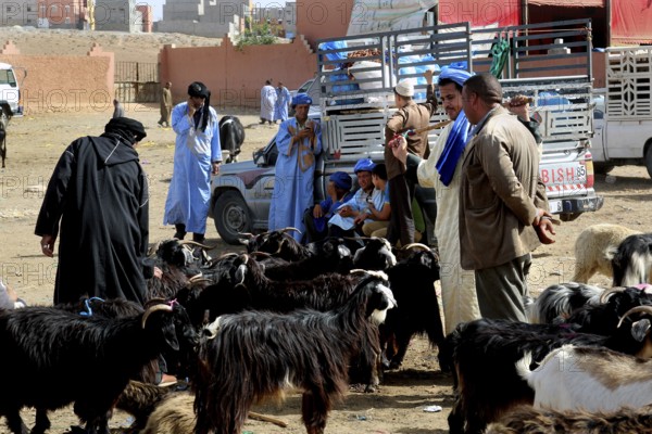 People wearing traditional garments at an active livestock market, Guelmim, Guelmim-Oued Noun, Morocco