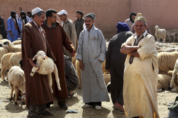 Men wearing traditional clothes discussing at a cattle market, Guelmim, Guelmim-Oued Noun, Morocco