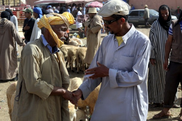 Two men seal a deal with a handshake at a cattle market, Guelmim, Morocco
