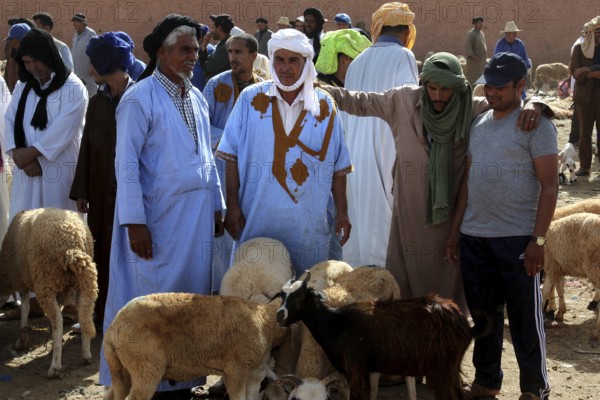 Men in traditional clothing stand with sheep at a lively market, Guelmim, Morocco
