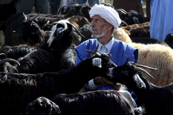 Man wearing traditional clothes surrounded by cattle at a busy market, Guelmim, Morocco