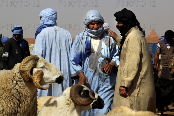 Guelmim cattle market with men wearing traditional Tuareg clothing, Guelmim, Guelmim-Oued Noun, Morocco