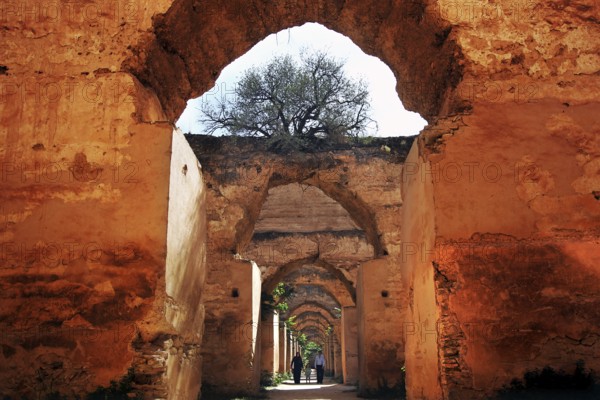 Historic brick arches lead the gaze into the distance, a tree in the background, Meknes, Fès-Meknes, Morocco