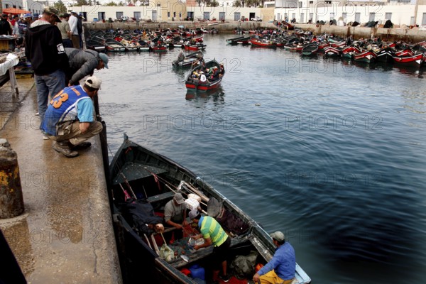 Boats in the calm waters of the harbor with fishermen working on the quay wall, El Jadida, harbor, Morocco