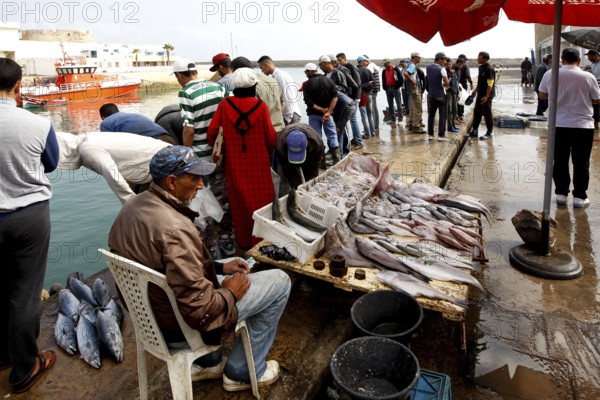 Fish market at the harbour with hustle and bustle and fish sales under red umbrellas, El Jadida, harbour, Morocco