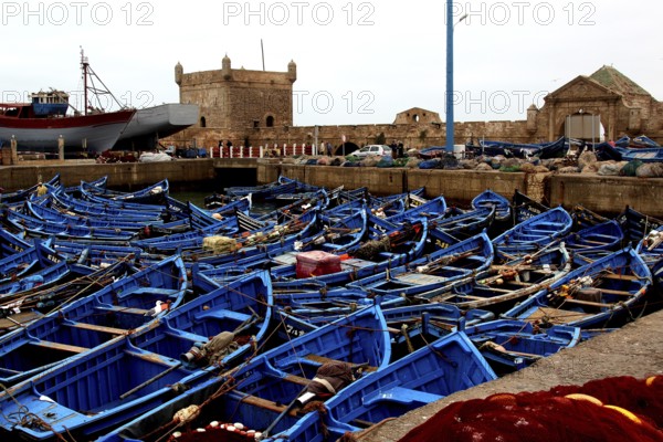 Numerous blue fishing boats are anchored in the harbor, Essaouira, Marrakesh-Safi, Morocco