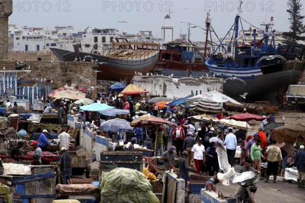 Hustle and bustle in the port of Essaouira with lots of people and boats, Essaouira, Morocco