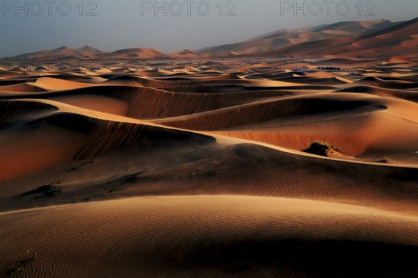 Endless sand dunes of the Erg Chebbi desert under a blue sky, Erg Chebbi, Morocco