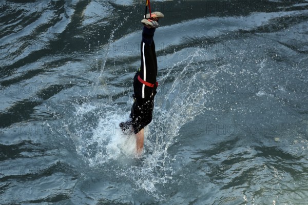 Springer dives head first into water and creates a water fountain, Queenstown, Otago, New Zealand