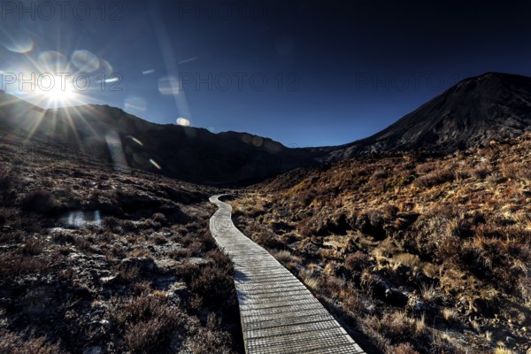 Timber trail through alpine landscape with bright sunshine in Tongariro National Park, Tongariro National Park, New Zealand