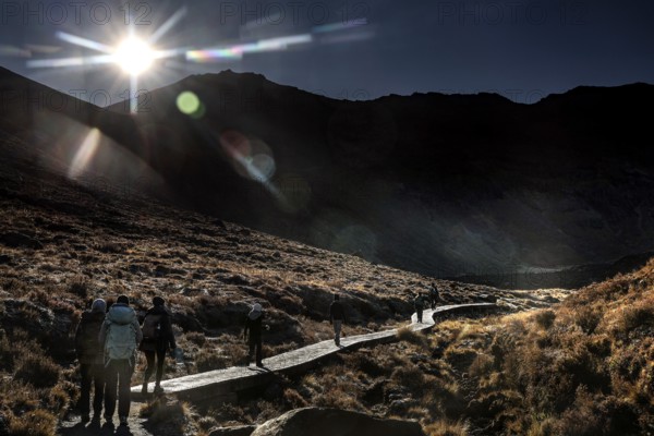 Hikers on the Tongariro Alpine Crossing with bright sunlight in the mountains, Tongariro National Park, New Zealand