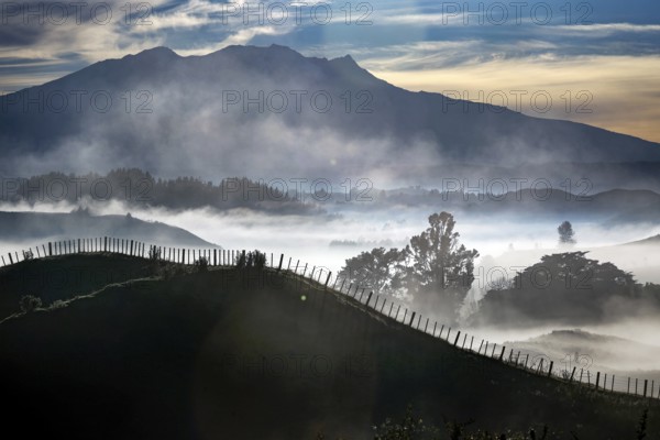 Morning fog envelops rolling hills and shimmers between fences and mountains in the distant background, Tongariro National Park, New Zealand