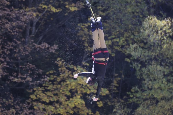 Springer hangs upside down on a bungee cable amidst autumn trees, Queenstown, Kawarau Bridge, New Zealand