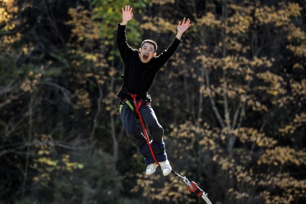 Jumpers in the air bungee jumping from Kawarau Bridge amidst autumn trees, Queenstown, Kawarau Bridge, New Zealand