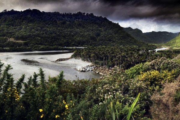 Lush vegetation and river course on a cloudy day in Punakaiki, Punakaiki, West Coast, New Zealand