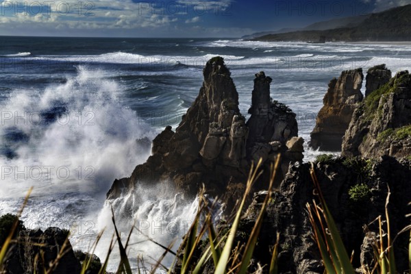 Pancake Rocks with rough seas in Punakaiki, dramatic waves and rocky coastline, Punakaiki, West Coast, New Zealand