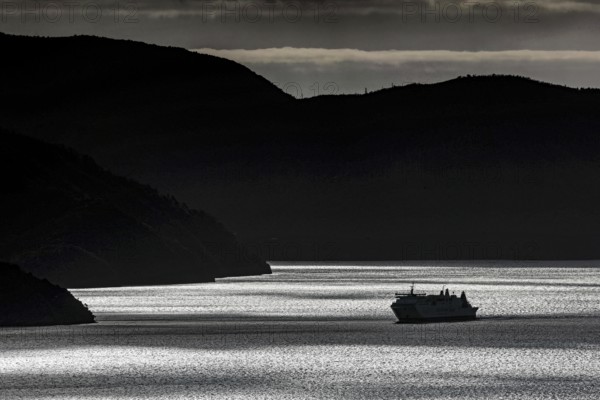 A ferry in the black silhouette of New Zealand waterways, Queen Charlotte Sound, Marlborough, New Zealand