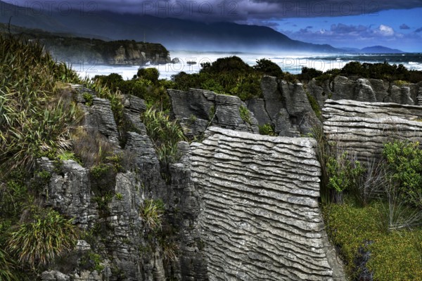 Panoramic view of Pancake Rocks with lush vegetation, Punakaiki, West Coast, New Zealand