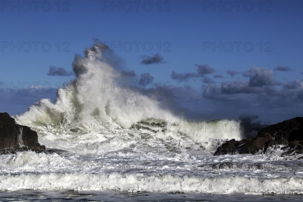 Impressive waves crash on the coast of Piha Beach, Piha Beach, region, New Zealand