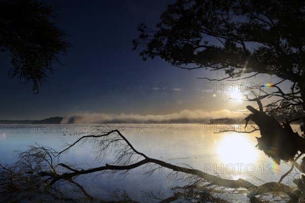 Sunrise over Lake Rotorua with dramatic reflections, Rotorua, Bay of Plenty, New Zealand