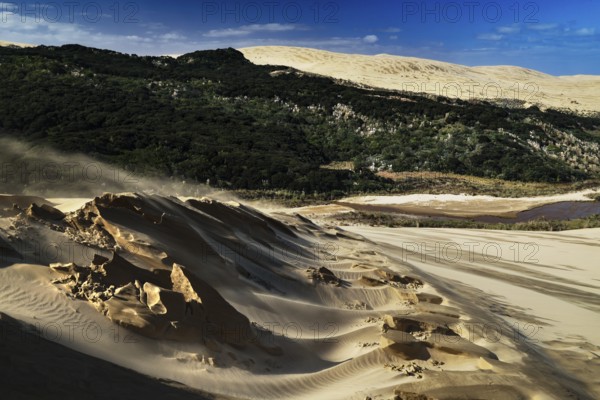 Extensive sandy landscape with blowing sandstorm and green vegetation, Ninety Mile Beach, Te Paki, New Zealand