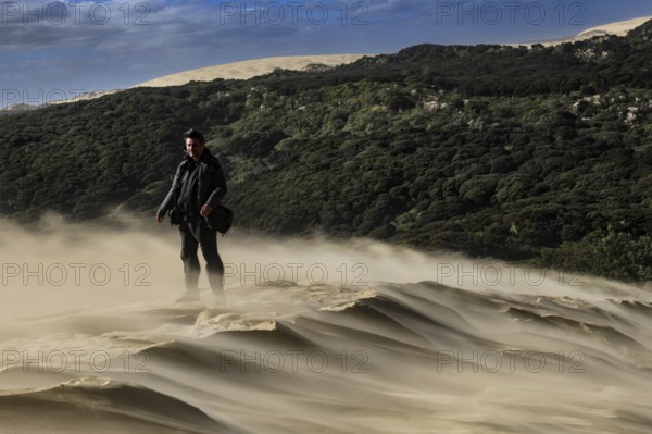 Person standing on a dune with thick vegetation in the background in the middle of a sandstorm