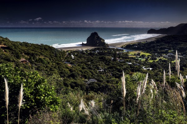 View of Piha Beach surrounded by lush nature and ocean views, Piha Beach, region, New Zealand