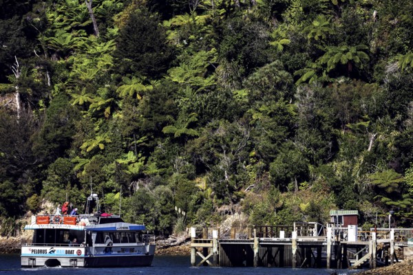 Mailboat delivers parcels to a dock in the dense forest in Pelorus Sound