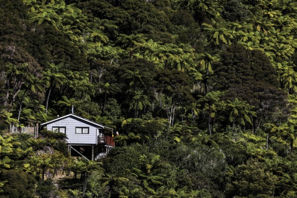 Lonely house nestled in the thick forest of Pelorus Sound